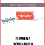 Ecommerce Premium Hybrid