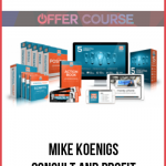 Mike Koenigs – Consult and Profit