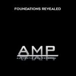Authentic Man Program – Foundations Revealed