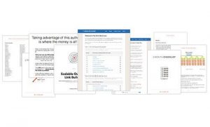 Chris Lee – RankXL Niche Site Course 2.0