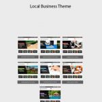Joe Troyer – Local Business Theme