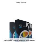 Precious Ngwu – Traffic Fusion