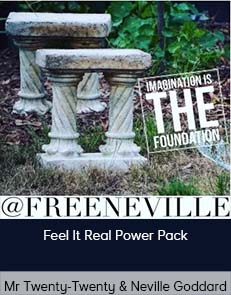 Mr Twenty-Twenty & Neville Goddard – Feel It Real PowerPack