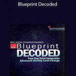Real Social Dynamics – Blueprint Decoded
