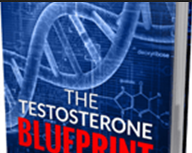Bobby Rio – Testosteron Blueprint