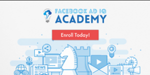 Robert Nava - Faceboom Ads Academy + OTO Search Capture (Google Adwords Training)