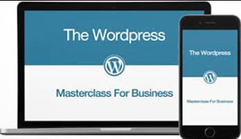 Dave Kaminski – WordPress Masterclass for Business