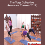 Anaswara – The Yoga Collective – Anaswara Classes (2017)
