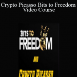 Crypto Picasso Bits to Freedom Video Course