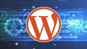 MindMekka ®- How to Optimise Your WordPress Website’s Speed & Security to Improve SEO & User Experience
