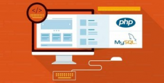 Abdul Wali – Complete Website & CMS in PHP & MySQL From Scratch!