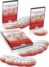 Sinn- Day Game A to Z Mastery Program Complete