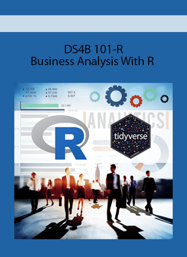 DS4B 101-R - Business Analysis With R