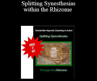 John Overdurf – Splitting Synesthesias within the Rhizome