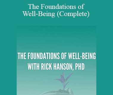 Rick Hanson - The Foundations of Well-Being (Complete)