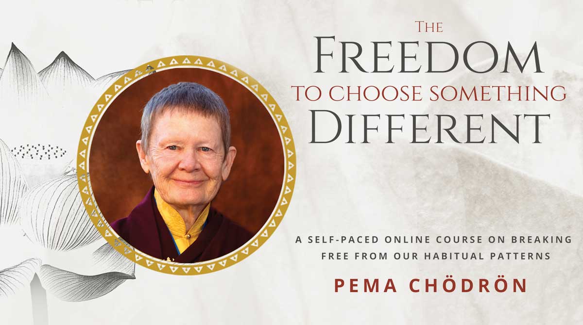Pema Chödrön - Udemy - The Freedom to Choose Something Different