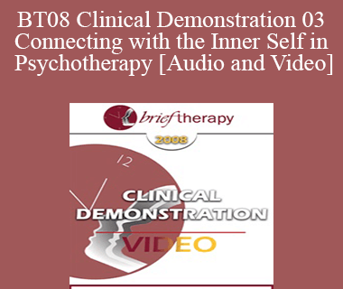 BT08 Clinical Demonstration 03 - Connecting with the Inner Self in Psychotherapy - Stephen Gilligan