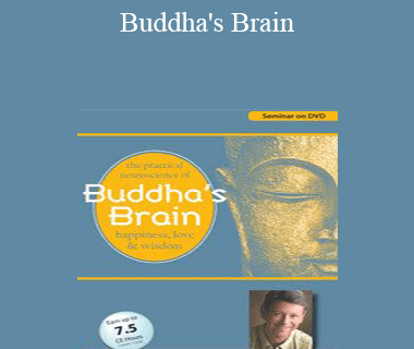 Rick Hanson - Buddha's Brain: The Practical Neuroscience of Happiness