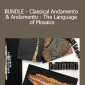 Anabella Wewer - BUNDLE - Classical Andamento & Andamento - The Language of Mosaics