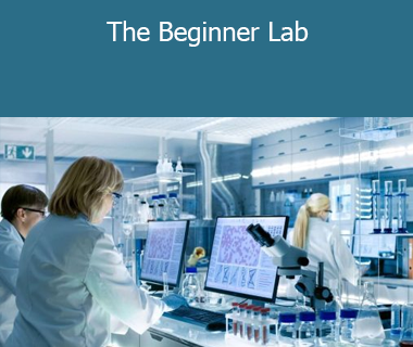 Matt Diggity - The Beginner Lab