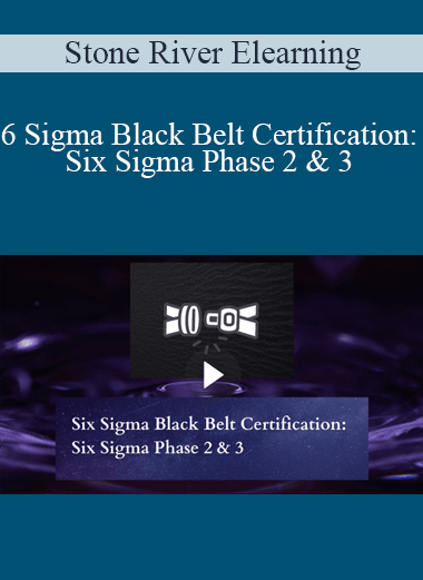 Stone River Elearning - Six Sigma Black Belt Certification: Six Sigma Phase 2 & 3