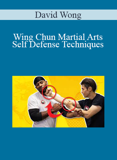 David Wong - Wing Chun Martial Arts Self Defense Techniques