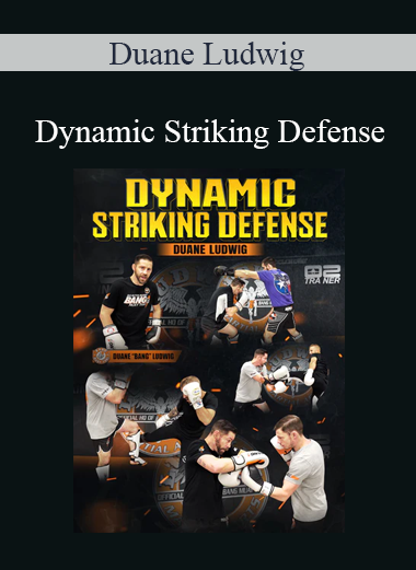 Duane Ludwig - Dynamic Striking Defense
