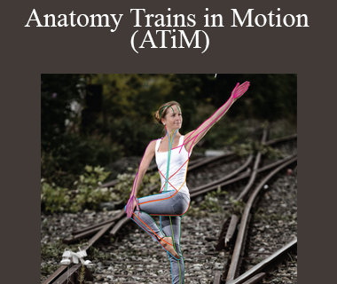 Tom Myers - Anatomy Trains in Motion (ATiM)
