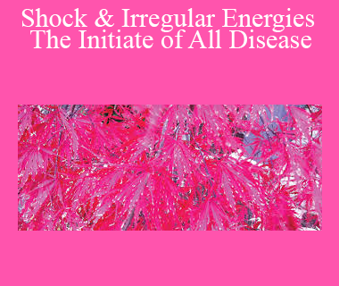 Sara Allen - Shock & Irregular Energies The Initiate of All Disease