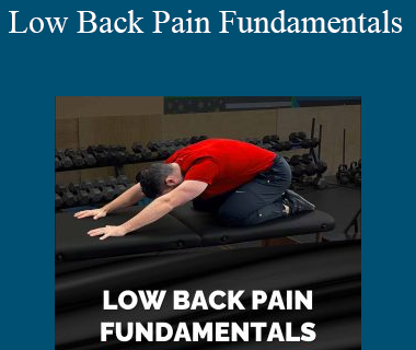 Dr. Michael Mash - Low Back Pain Fundamentals
