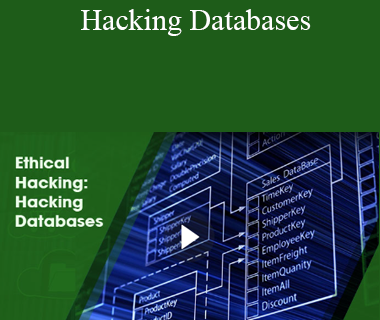 Stone River Elearning - Hacking Databases