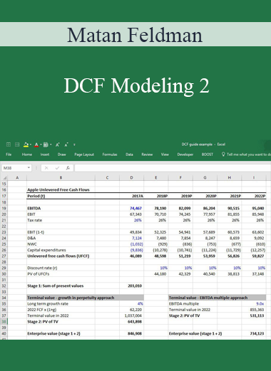 Matan Feldman - DCF Modeling 2