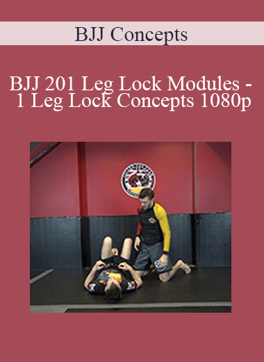 BJJ Concepts - BJJ 201 Leg Lock Modules - 1 Leg Lock Concepts 1080p