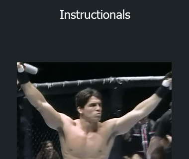 Frank Shamrock Misc Instructionals