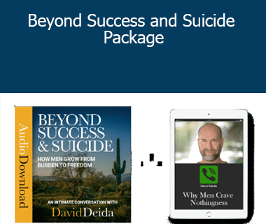 David Deida - Beyond Success and Suicide Package