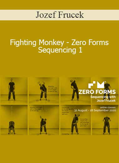 Jozef Frucek - Fighting Monkey - Zero Forms Sequencing 1