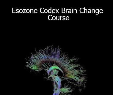 Command Z - Esozone Codex Brain Change Course