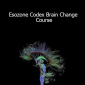 Command Z - Esozone Codex Brain Change Course