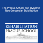 The Prague School and Dynamic Neuromuscular Stabilization - DNS - Video Library