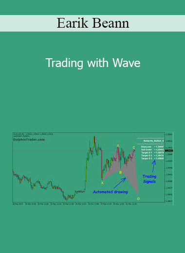 Earik Beann - Trading with Wave