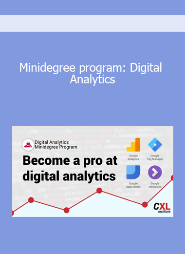 Minidegree program: Digital Analytics