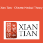 Damo Mitchell - Xian Tian - Chinese Medical Theory