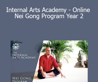 Damo Mitchell - Internal Arts Academy - Online Nei Gong Program Year 2