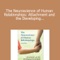 Louis Cozolino - The Neuroscience of Human Relationships: Attachment and the Developing Social Brain (Norton Series on Interpersonal Neurobiology) Second Edition