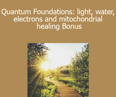 Carrie Bennet - Quantum Foundations: light water electrons and mitochondrial healing Bonus